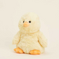 Chick