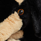 Dachshund Warmies®