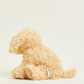 Golden Dog