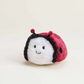 Ladybug Junior