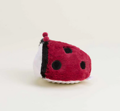 Ladybug Junior