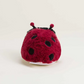 Ladybug Junior