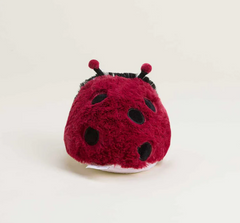 Ladybug Junior