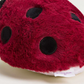 Ladybug Junior