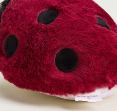 Ladybug Junior