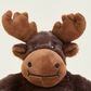 Moose Junior