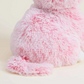 Pink Kitten