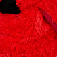 Cardinal