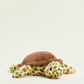 Plush Turtle