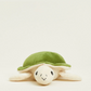 Turtle Junior