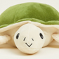 Turtle Junior