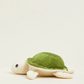 Turtle Junior