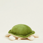 Turtle Junior