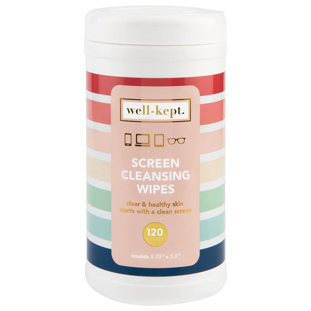 Screen Wipes Canister