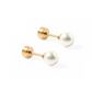 Screwback Stud Earrings - Payton Pearl