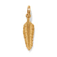 Plume Amulet