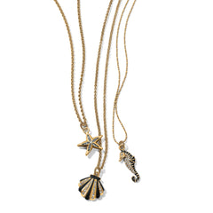 Twilight Waters Shell Necklace