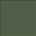 Bronze Green