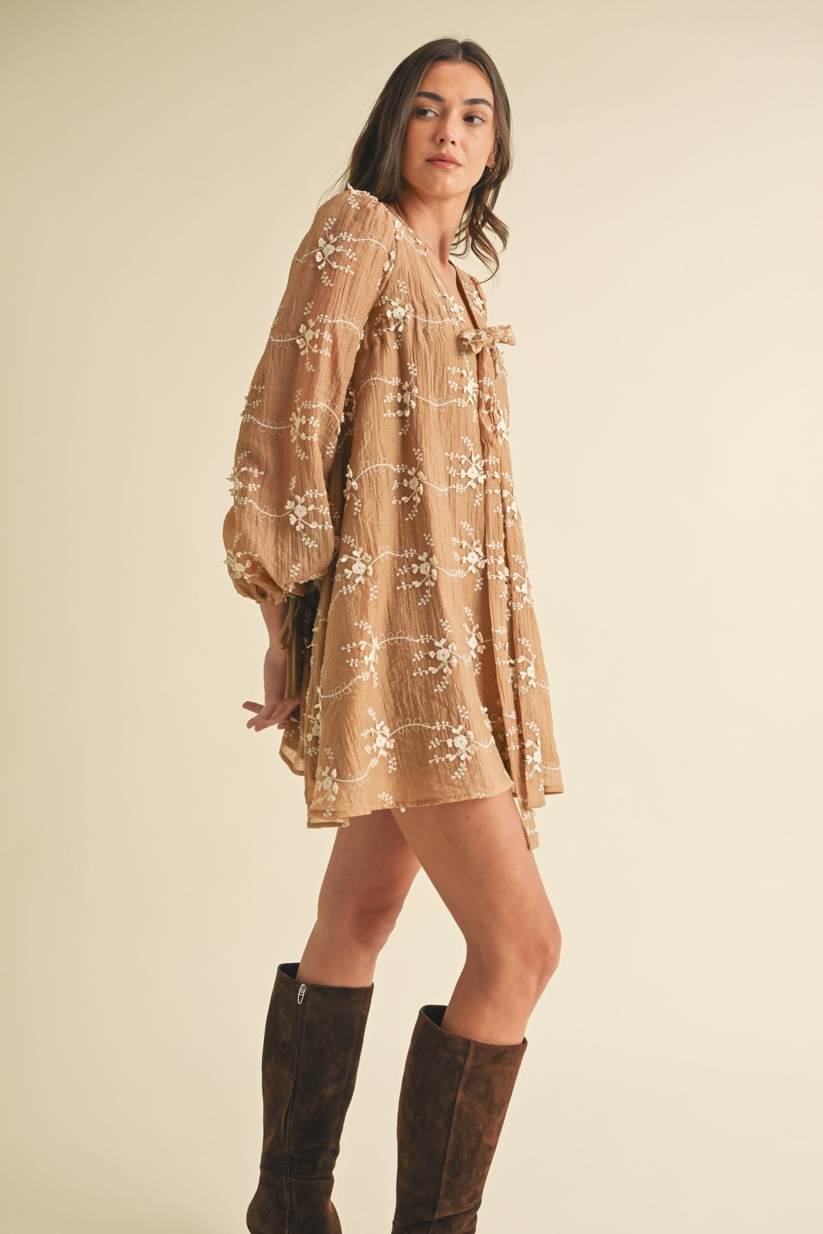 Phoebe Embroidered Mini Dress