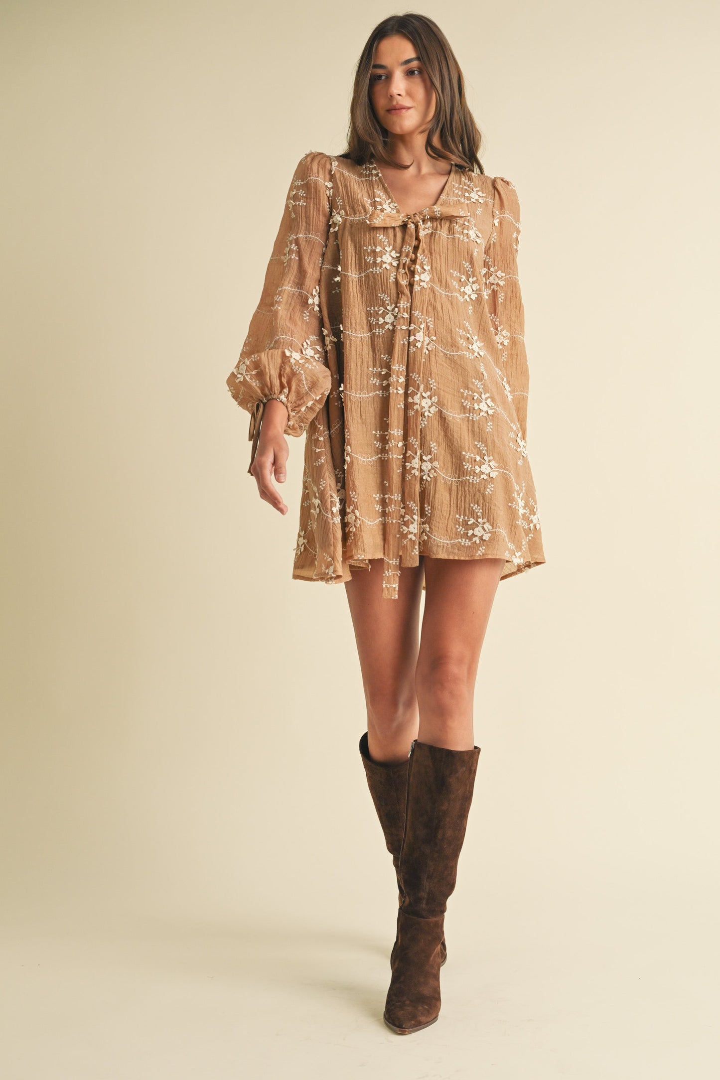 Phoebe Embroidered Mini Dress