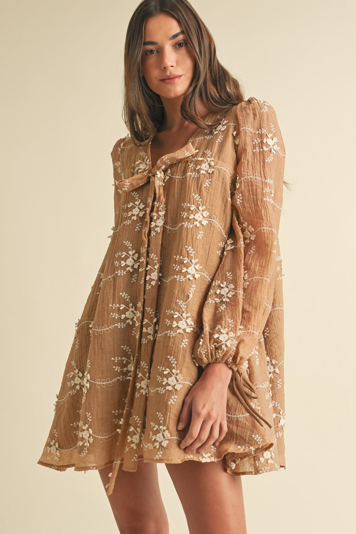 Phoebe Embroidered Mini Dress