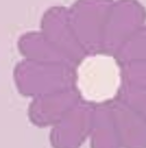 Darling Daisy Purple