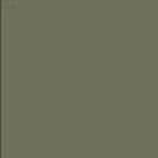 Deep Lichen Green