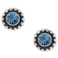 Twinkle Mini Post Earrings Front View