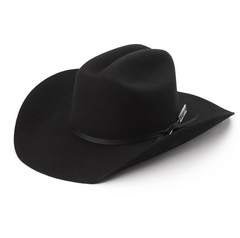 Longhorn 4x Hat