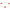 enewton Signature Cross Gold Pattern 2mm Bead Bracelet - Red