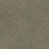 Terrain