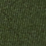 Ivy