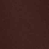 Spiced Chocolate