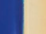 Gold Navy Enamel