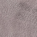 Pewter Spur