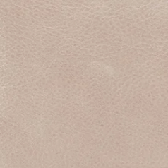 Stone Gloss