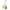 YETI Roadie 32 Wheeled Cooler in Key Lime.