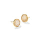 Sand Dollar Stud Earrings