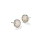 Sand Dollar Stud Earrings