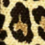 Leopard Dynasty