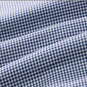 Navy Peter Gingham