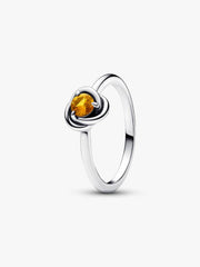 November Eternity Circle Ring