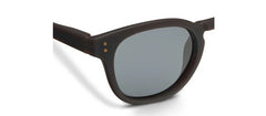 Gus Polarized Sunglasses - Coffee