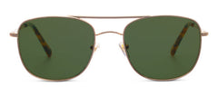 Palermo Polarized Sunglasses - Gold