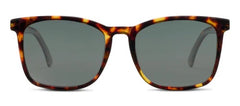 Mateo Polarized Sunglasses - Tortoise