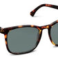 Mateo Polarized Sunglasses - Tortoise