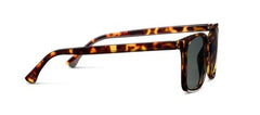 Mateo Polarized Sunglasses - Tortoise