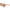 Brighton Interlok Braid Sunglasses