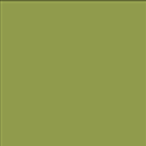Spinach Green