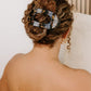 Teleties Large Flat Round Clip | Tortoise